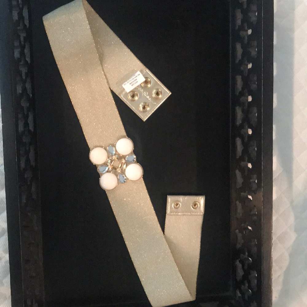 Lily Pulitzer belt